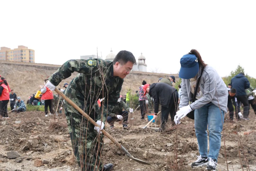 1686306755790.jpg 1686306755790.jpg