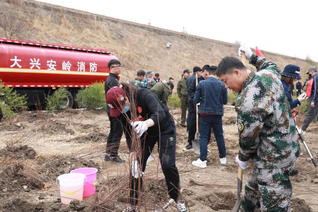 1686307051771.jpg 1686307051771.jpg