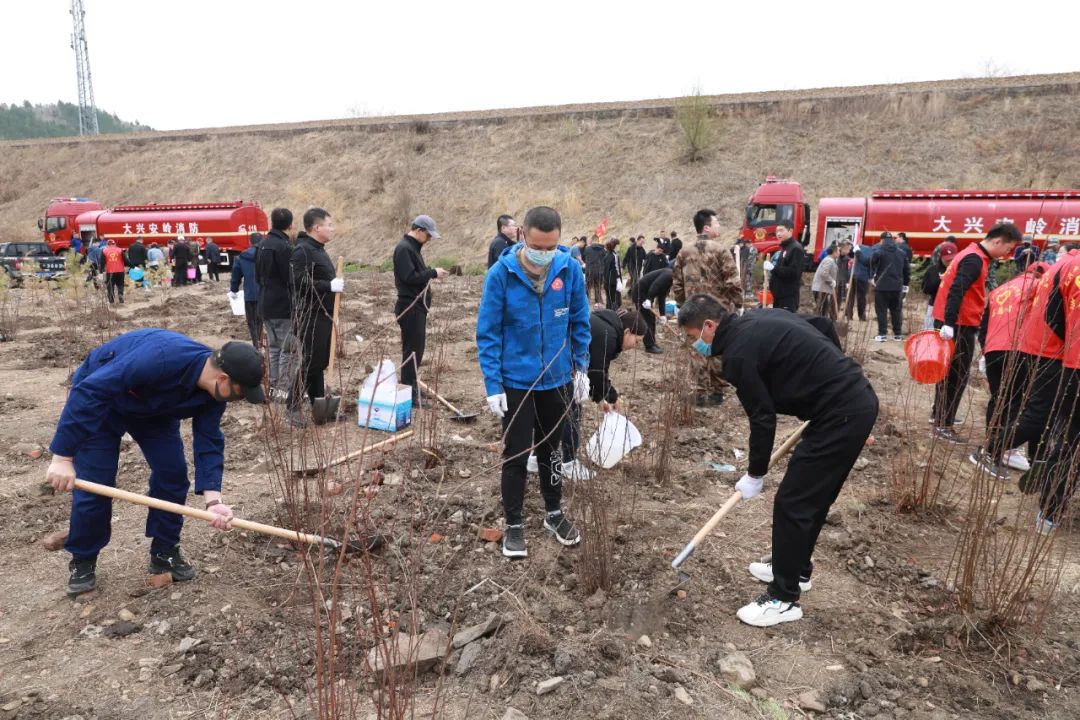 1686307088783.jpg 1686307088783.jpg